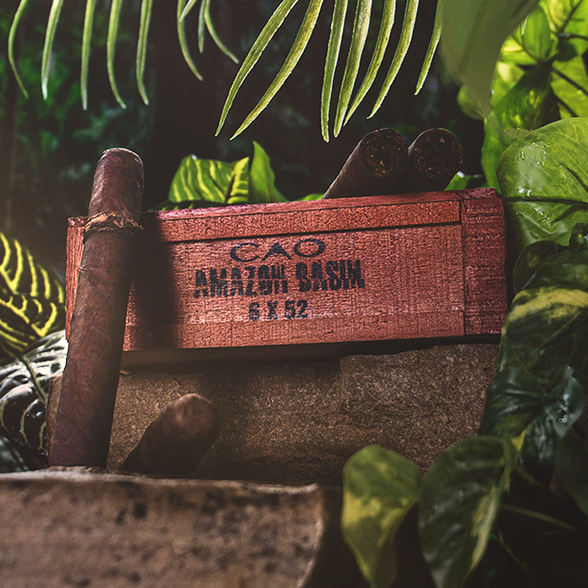 CAO WELCOMES FANS TO THE JUNGLE WITH A 2025 AMAZON BASIN RE-RELEASE